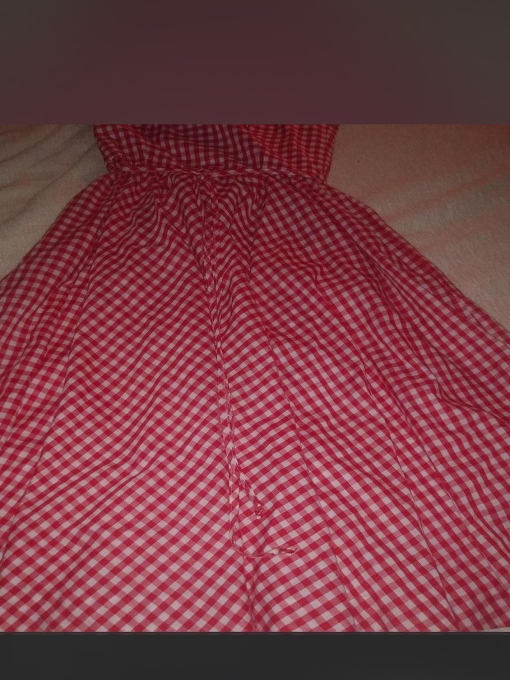 Lanz Originals Red and White Gingham Dress